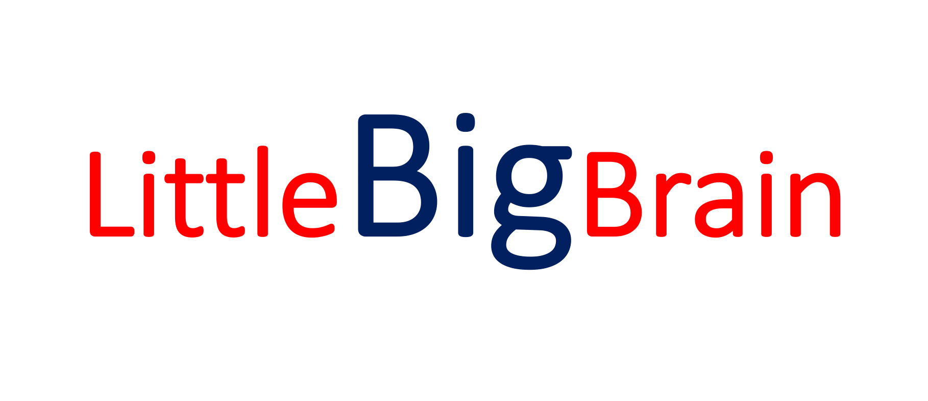 Little Big Brain Game Studio